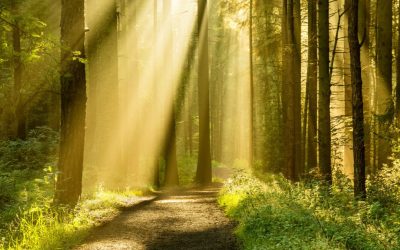 Awakening to My True Path